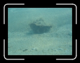 Tortola 076 * There's someone! * 2592 x 1944 * (2.31MB)